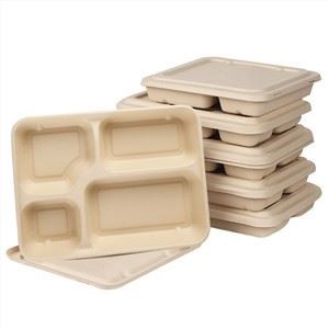 Bagasse Sugarcane Takeaway -astiat