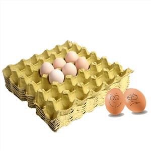 Paperi massa muna-alusta valmistajat