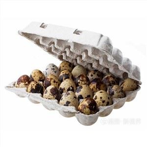 Sellun viiriäisen munapakkaukset