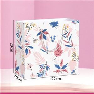 Mukautettu painettu paperilahjapussi